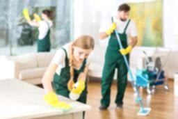 Ev Temizliği